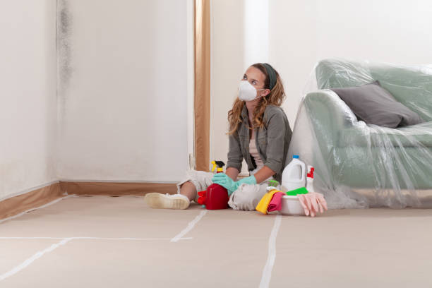 Reliable Mold Inspection And Testing contractor in Linden, MI by Car Mold Remediation